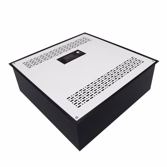 Flygoo 天井取り付け工業用オゾン発生器空気消毒剤 50g/h オゾン消毒剤